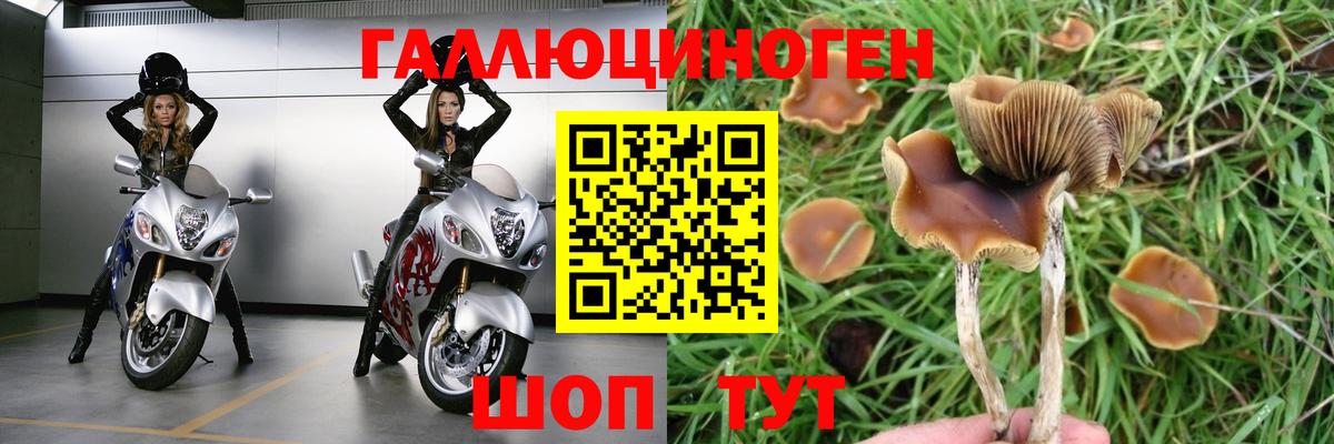 Галлюциногенные грибы мухоморы Абинск